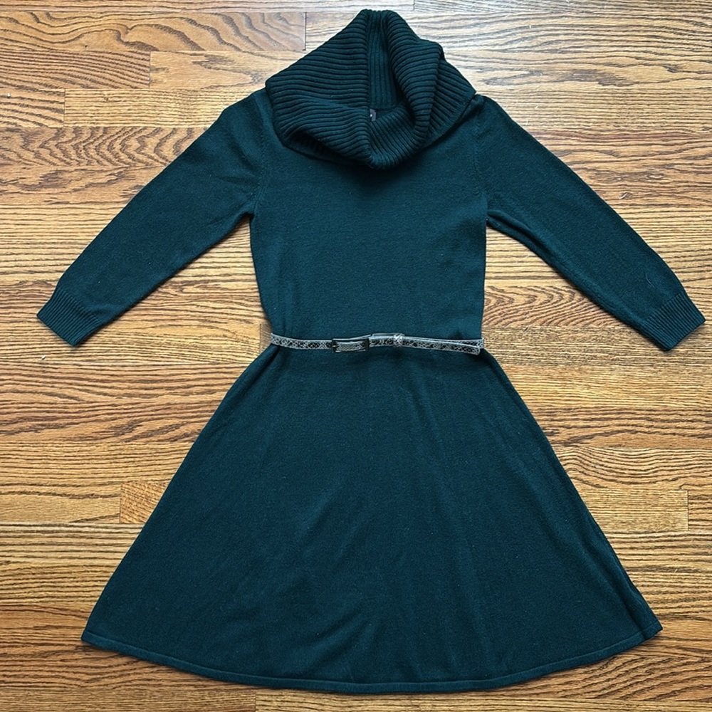 The Limited green sweater dress